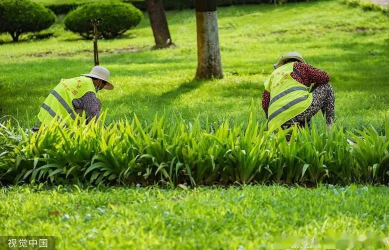 大型公园园林景观设计