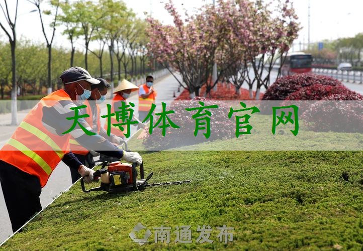 芙蓉区立体绿化工程