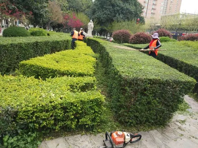 朗石 - 精心打造户外景观体验专家Landscape Design Expert