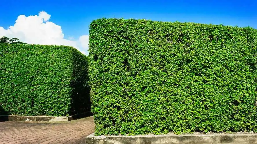 朗石 - 精心打造户外景观体验专家Landscape Design Expert